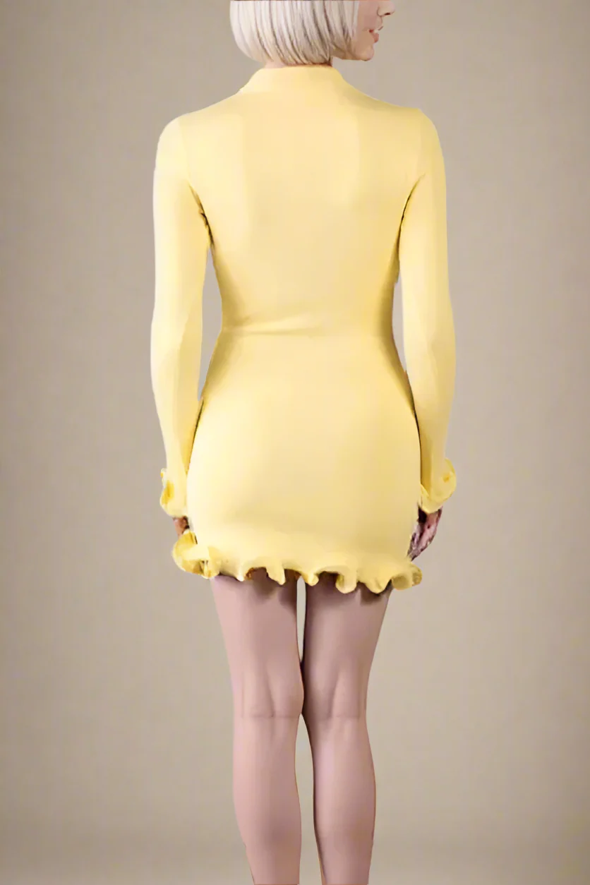 Regina Long Sleeve Mini Dress - Sun Yellow (Sale) - Image 4